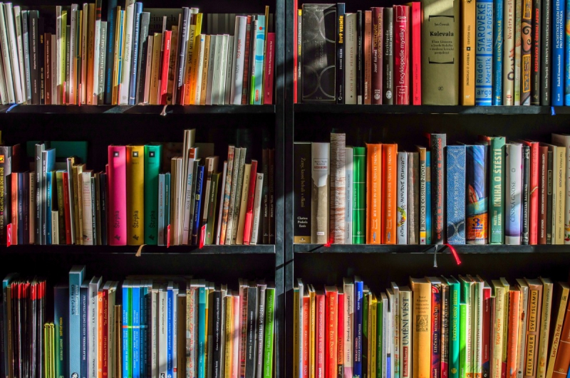vitrine-CALLIAN-min_books_bookstore_book_reading_shop_writer_sale_books_read-822866